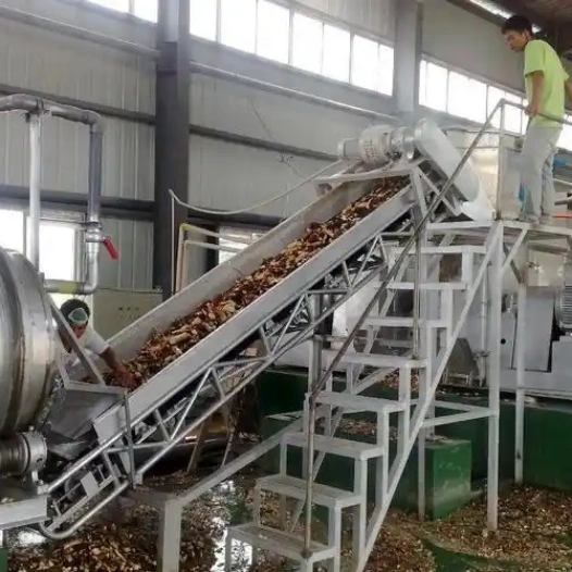 Cassava Processing