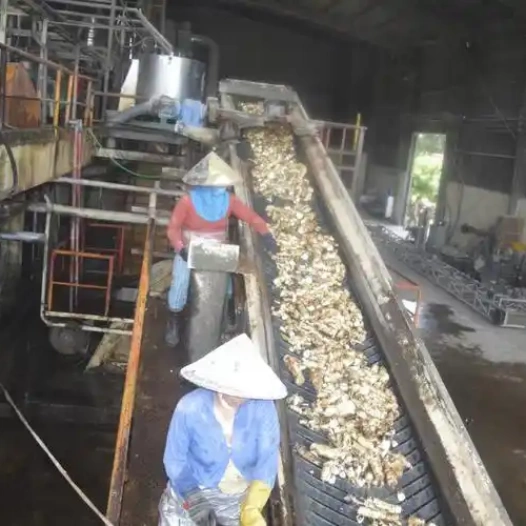 Fine Cassava Processing